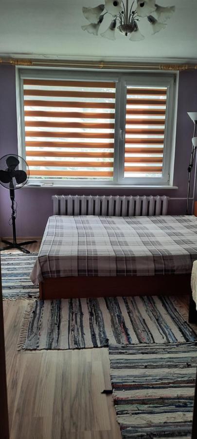 Apartmán Day & Night Anykščiai Exteriér fotografie