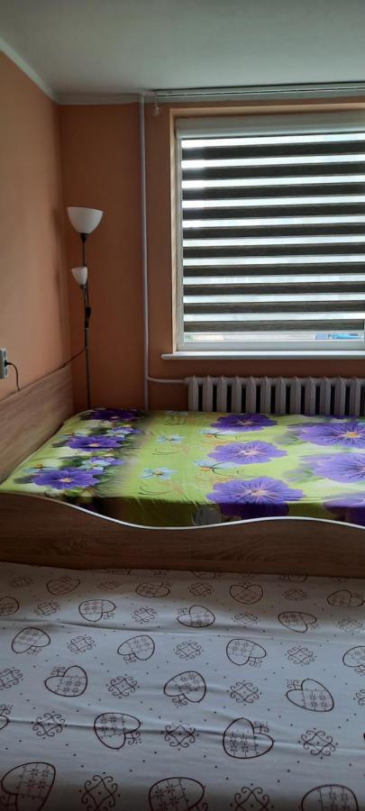 Apartmán Day & Night Anykščiai Exteriér fotografie