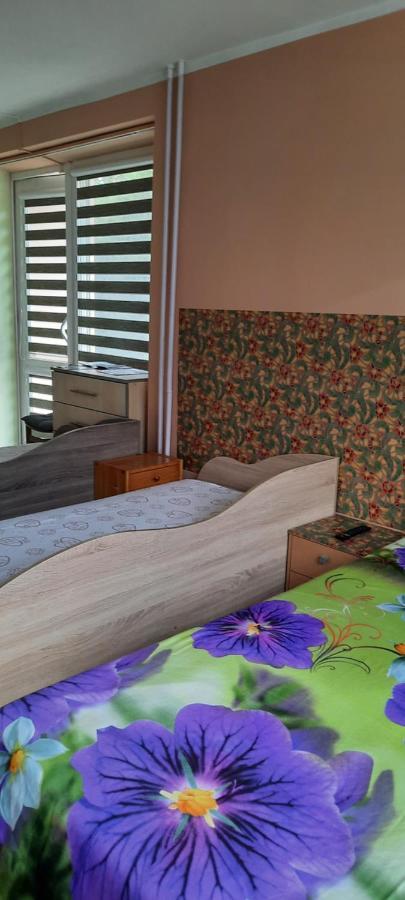 Apartmán Day & Night Anykščiai Exteriér fotografie